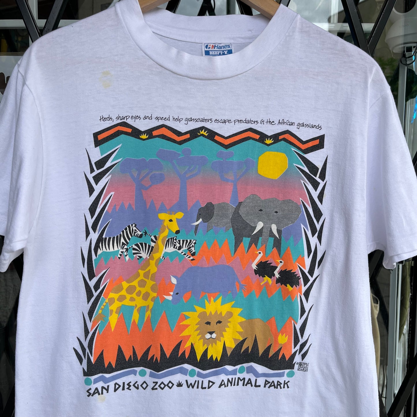 Vintage San Diego Zoo Tee - Size L