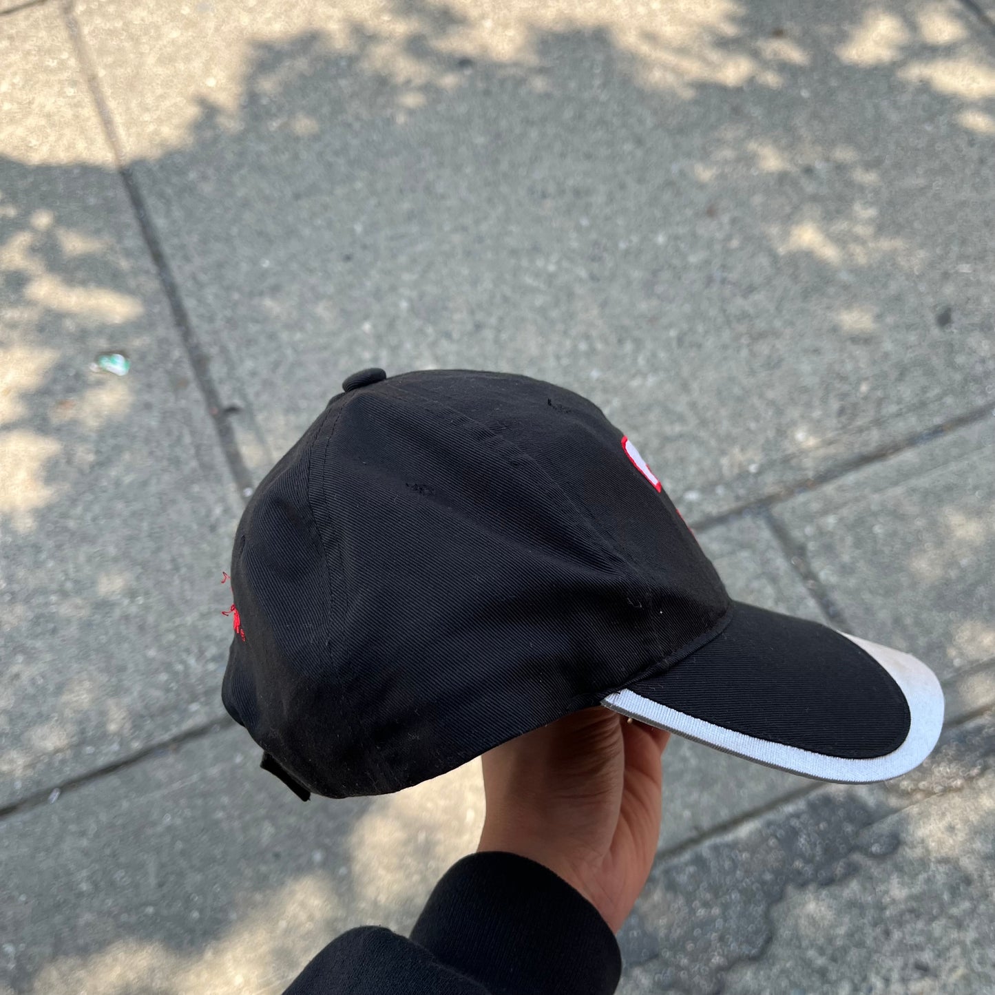 Vintage Dale Earnhardt Racing Hat