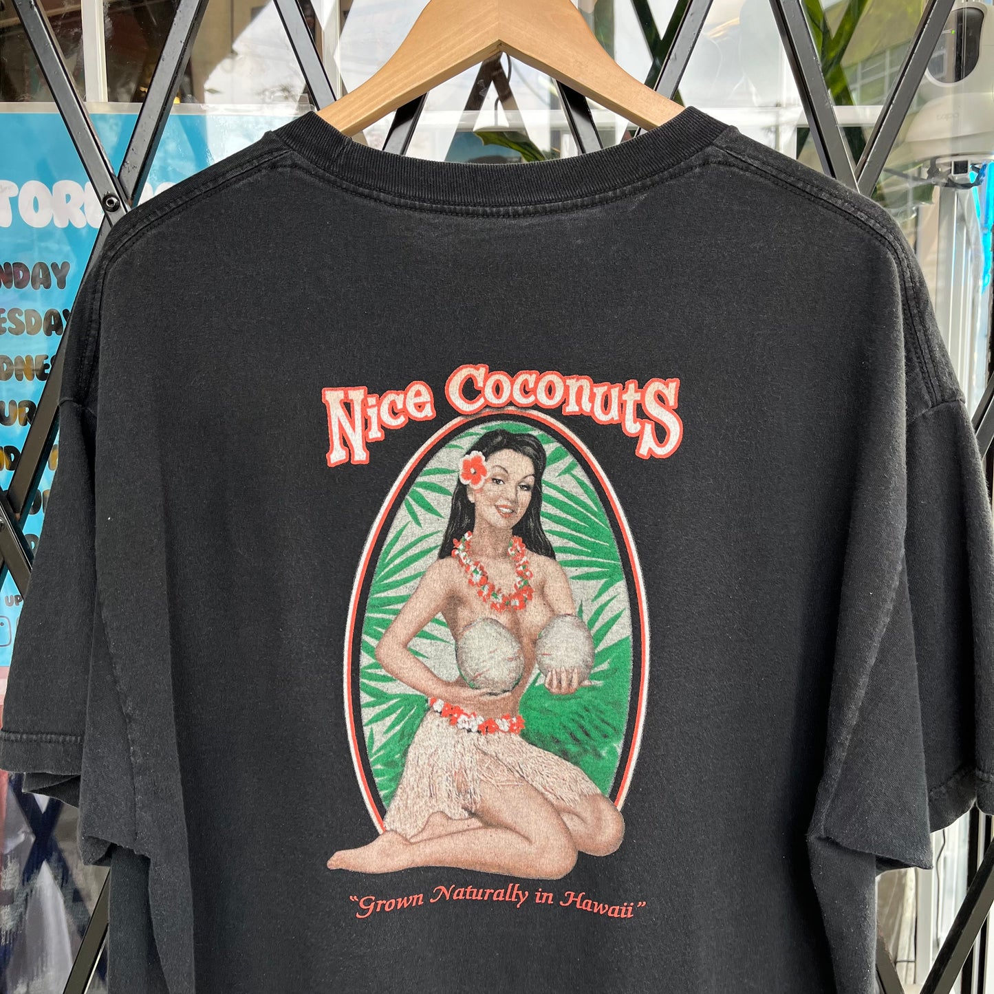 Hawaii Souvenir Nice Coconuts Tee - Size XL