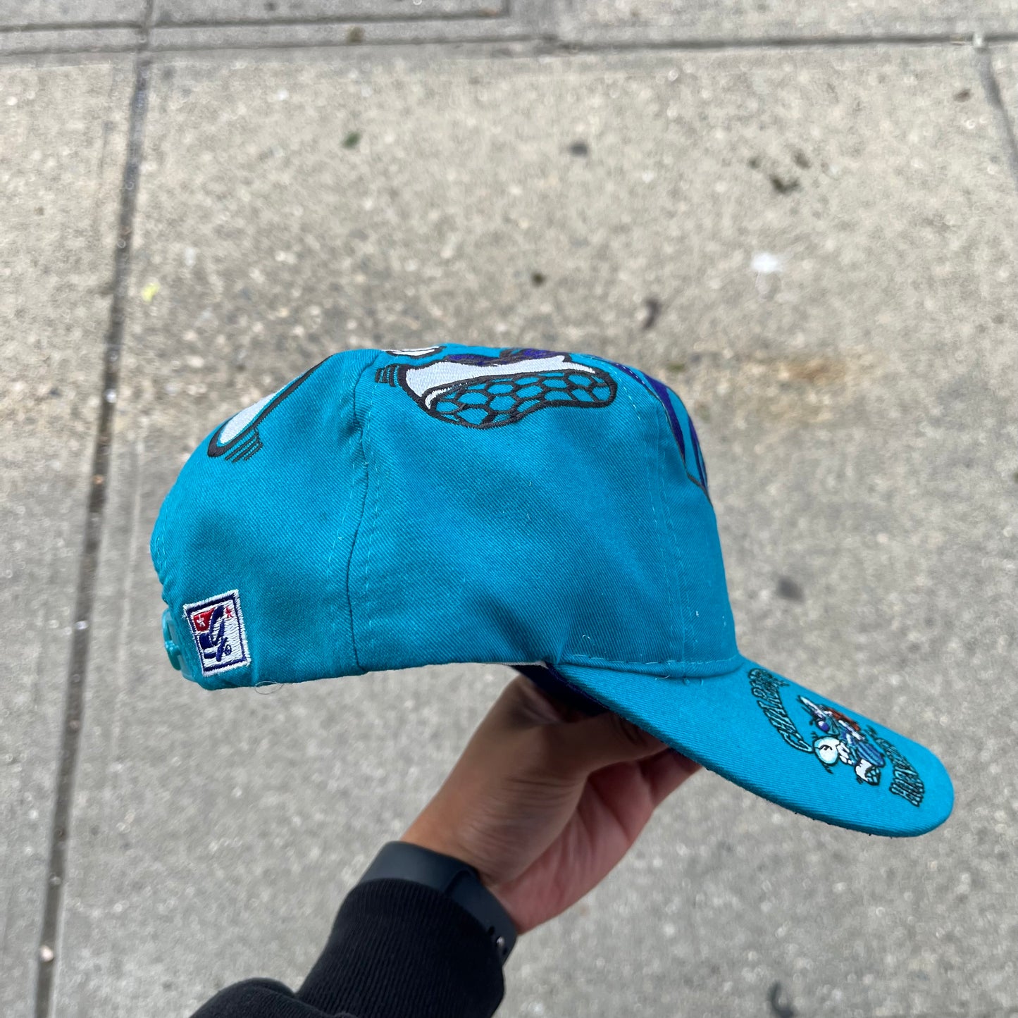 Vintage The Game Charlotte Hornets Big Logo Snapback