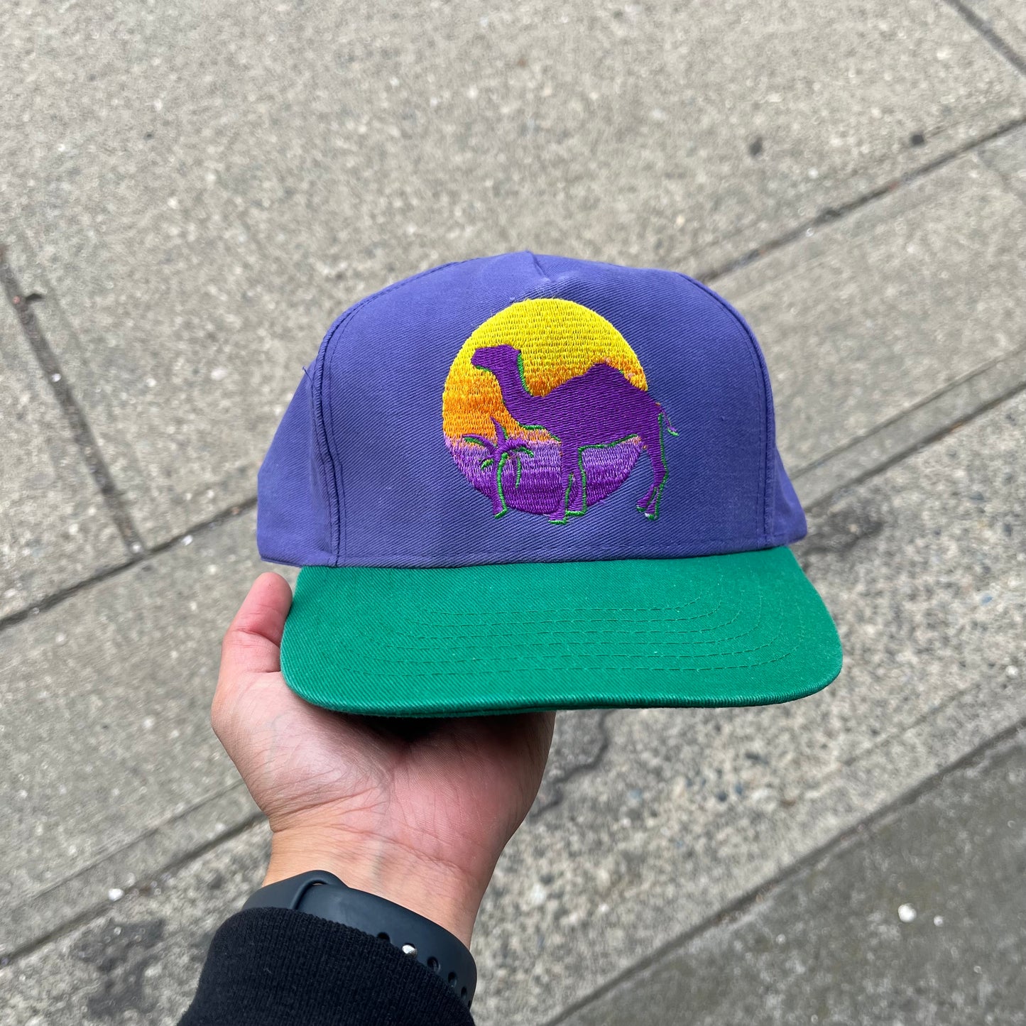 Vintage Camel Cigarettes Snapback