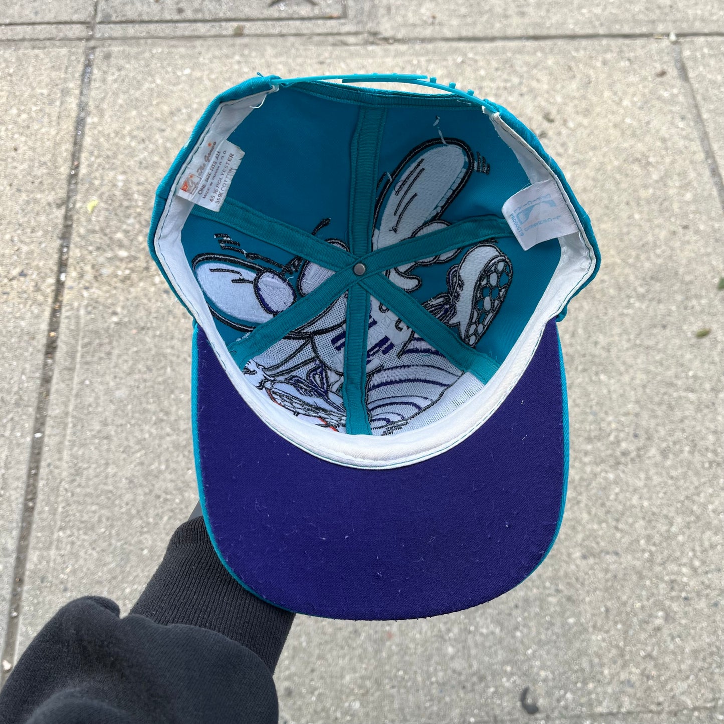 Vintage The Game Charlotte Hornets Big Logo Snapback