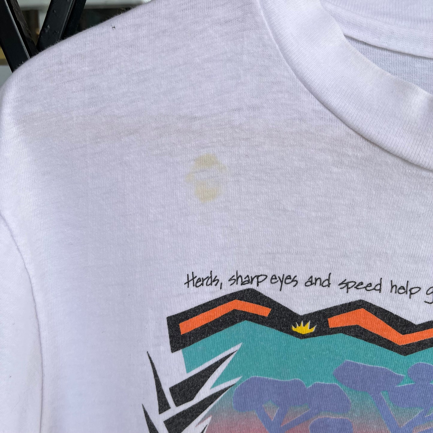 Vintage San Diego Zoo Tee - Size L