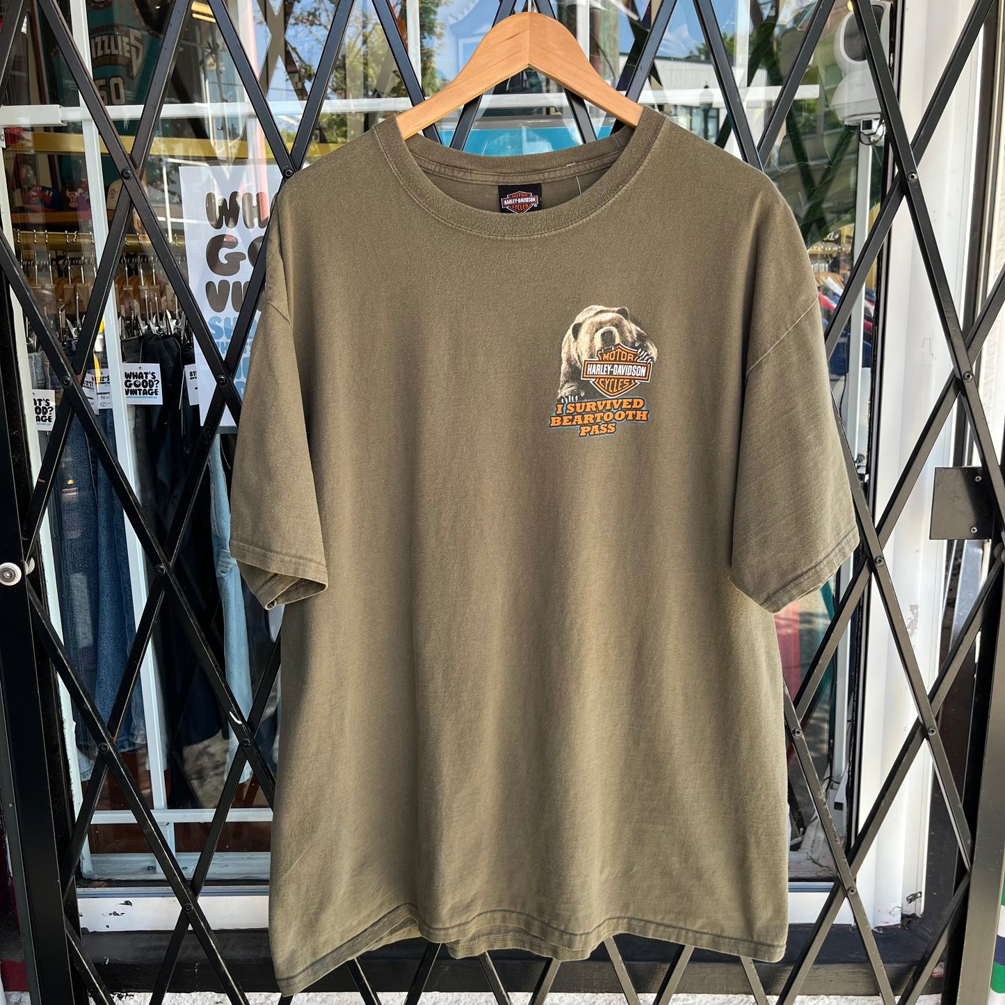 Harley Davidson Beartooth Pass Tee - Size XL
