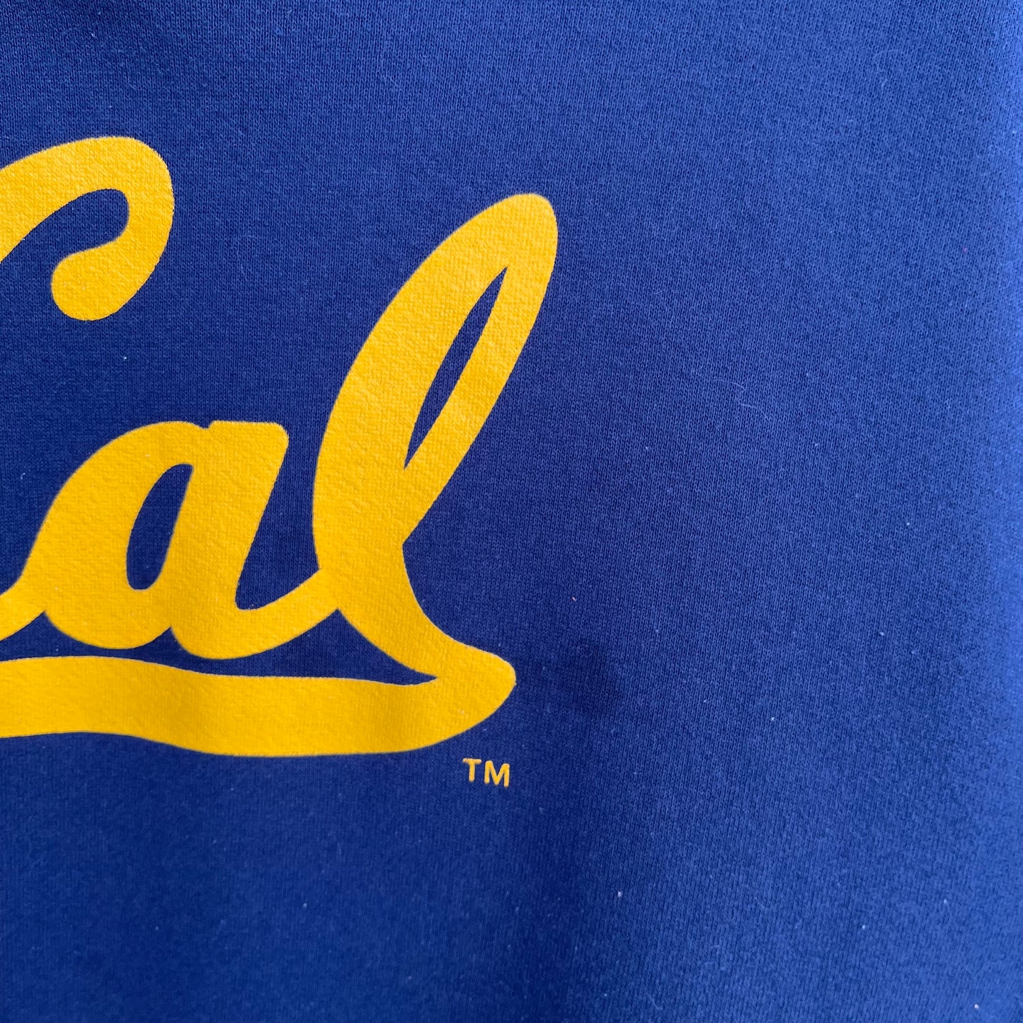 Vintage Russell University of California Hoodie - Size XL