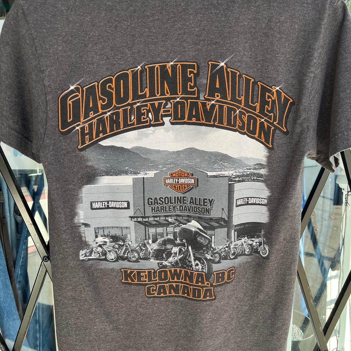 Harley Davidson Beaver Tee - Size S