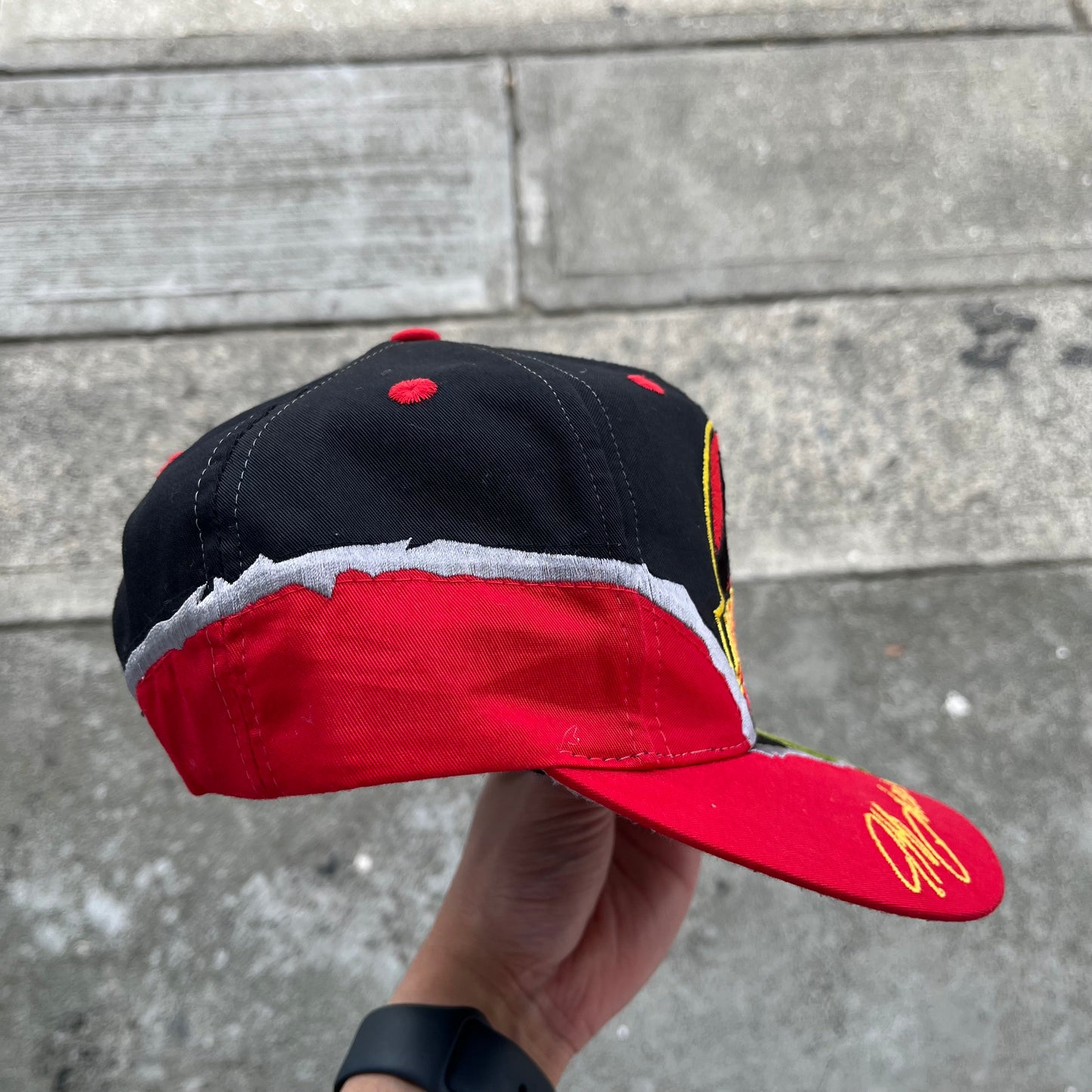 Vintage Jeff Gordon x Jurassic Park The Ride Univeral Studios Snapback