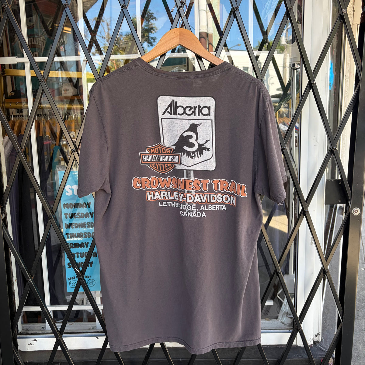 Harley Davidson Lethbridge Tee - Size XL