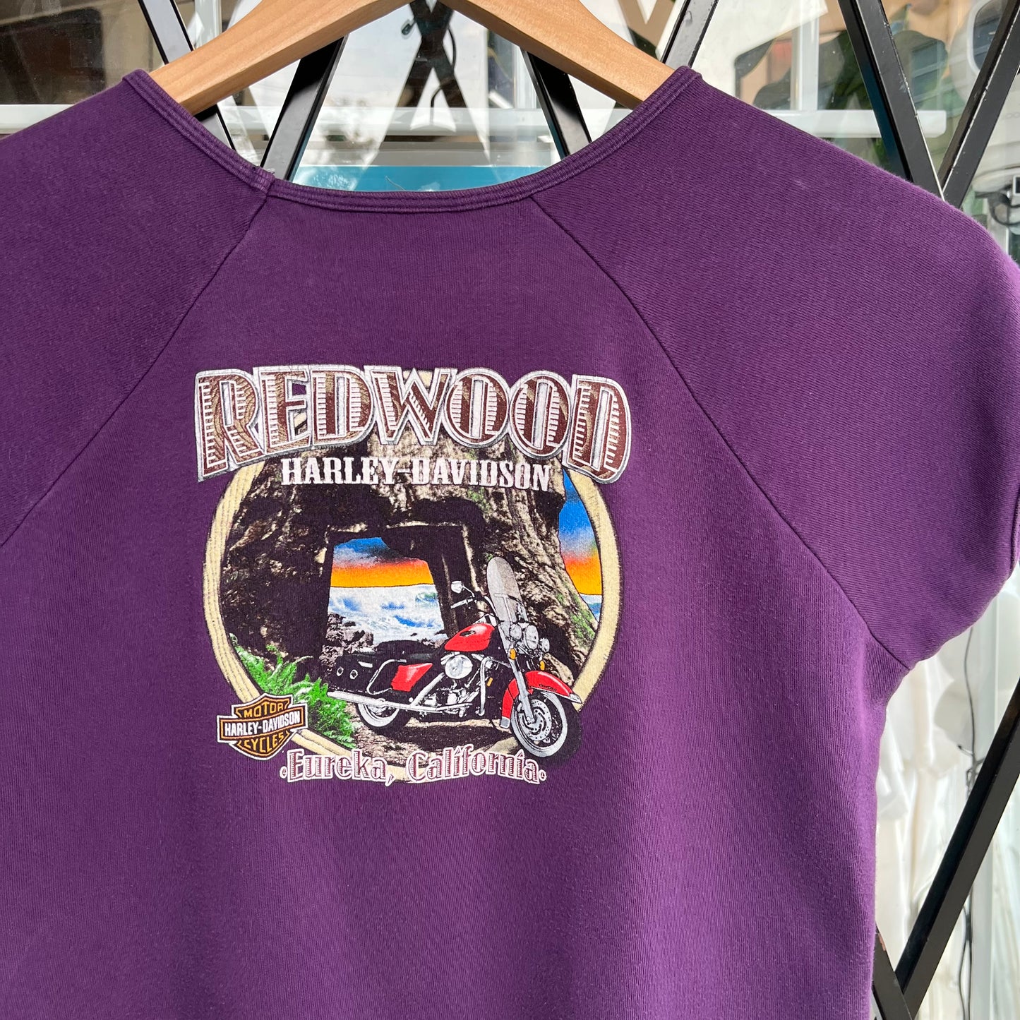 Y2K Harley Davidson Baby Tee - Size Womens M