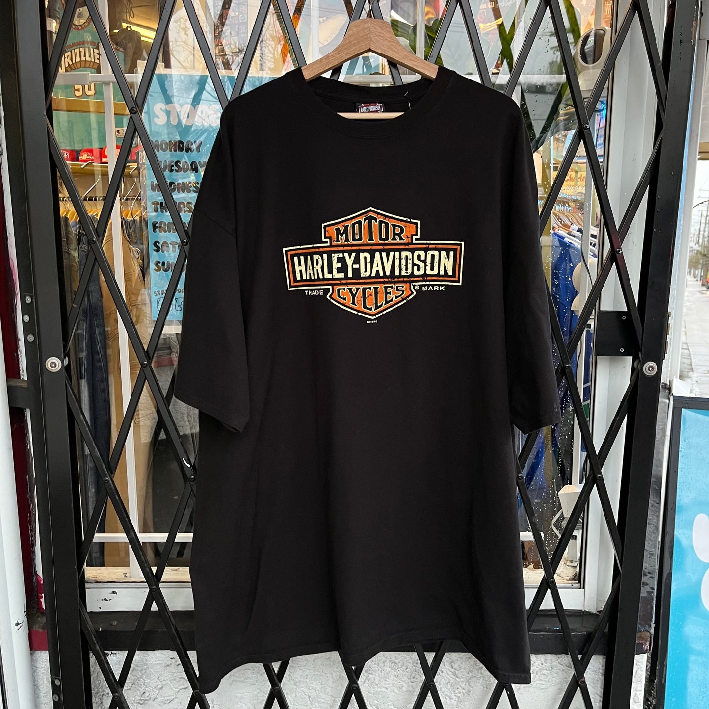 Harley Davidson Alaska Eagle Tee - Size XXXL