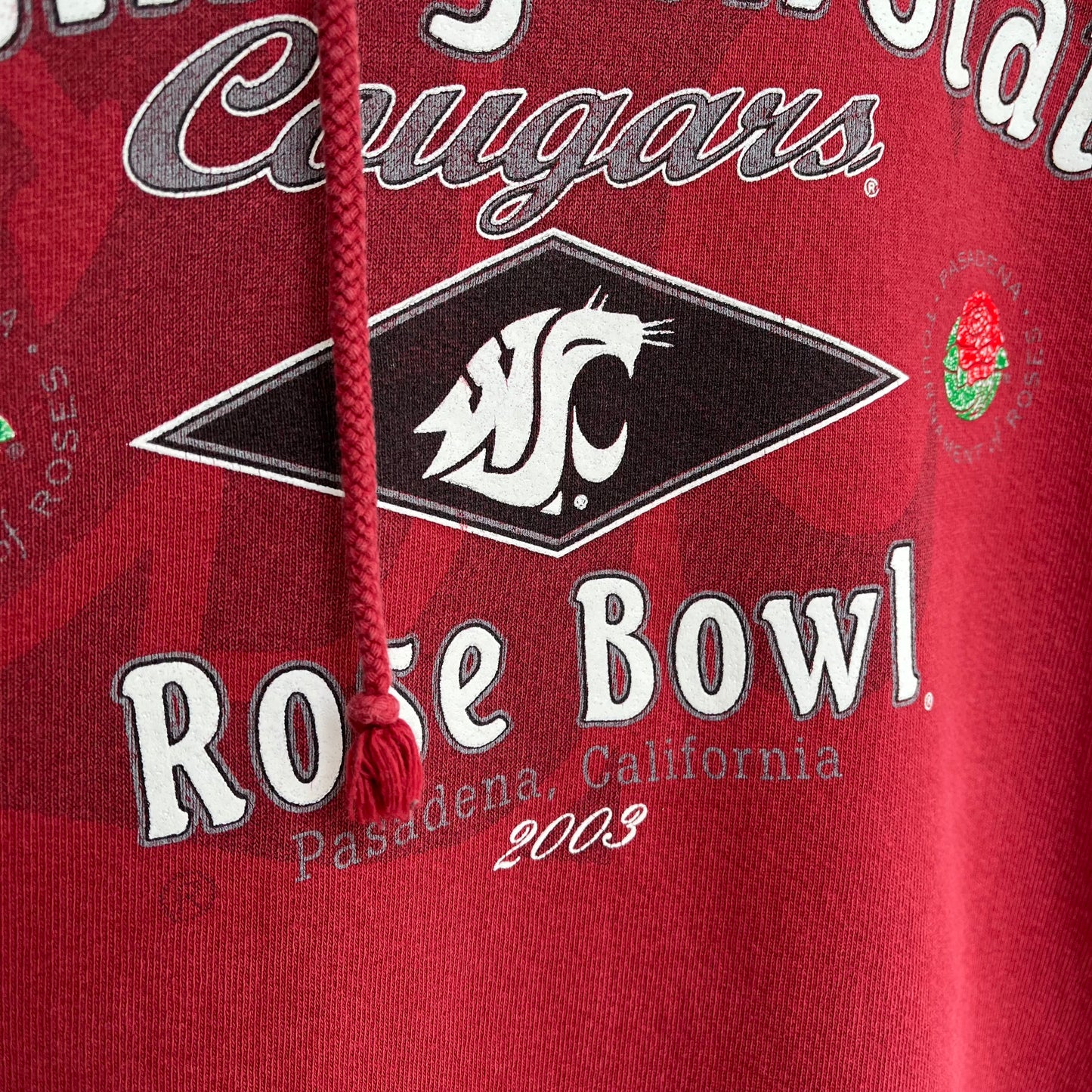 Vintage 2003 Washington State Hoodie - Size L