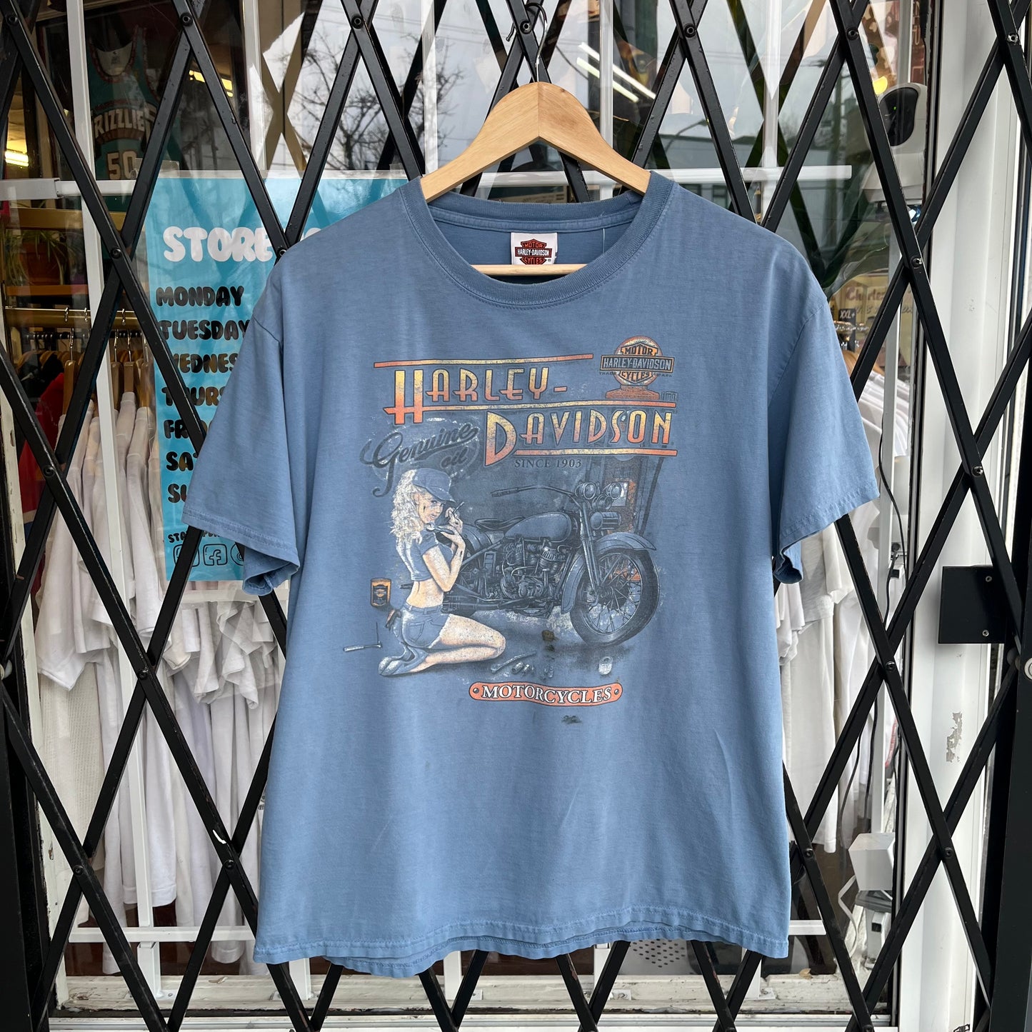 Harley Davidson Cranbrook Tee - Size L