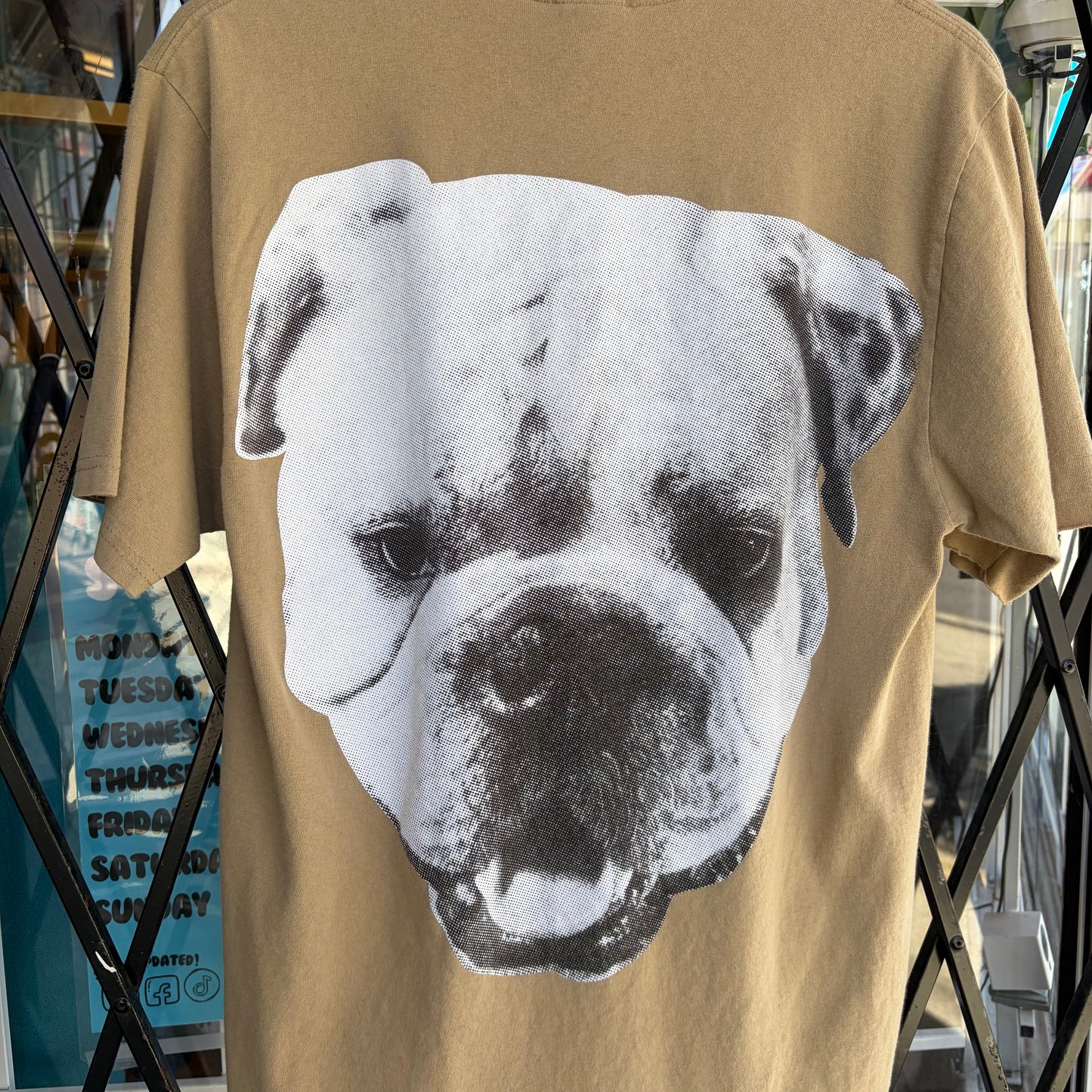 Stussy Big Dog Tee Khaki - Size M