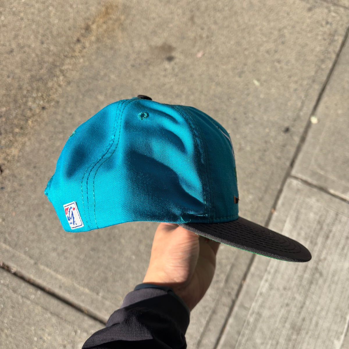 Vintage San Jose Sharks SnapBack