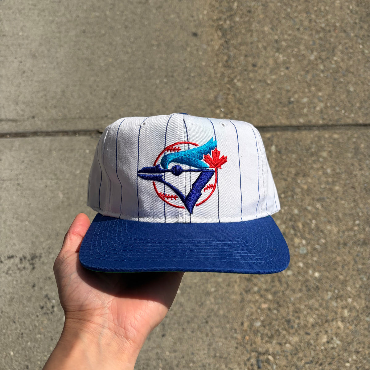 Vintage Starter Toronto Blue Jays Pinstripe SnapBack
