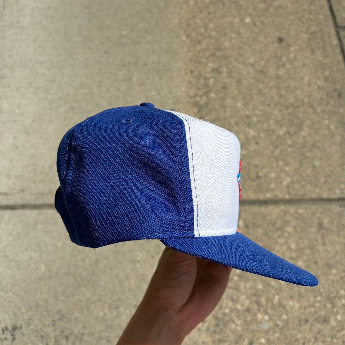 Vintage Toronto Blue Jays SnapBack