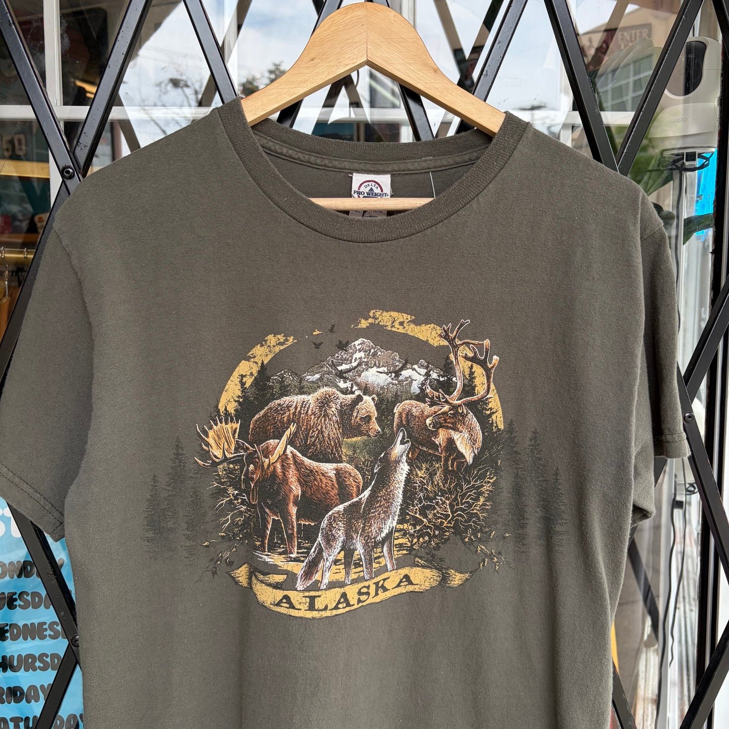 Alaska Nature Tee - Size M