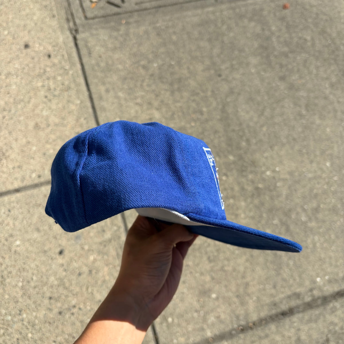 Vintage Looney Tunes SnapBack