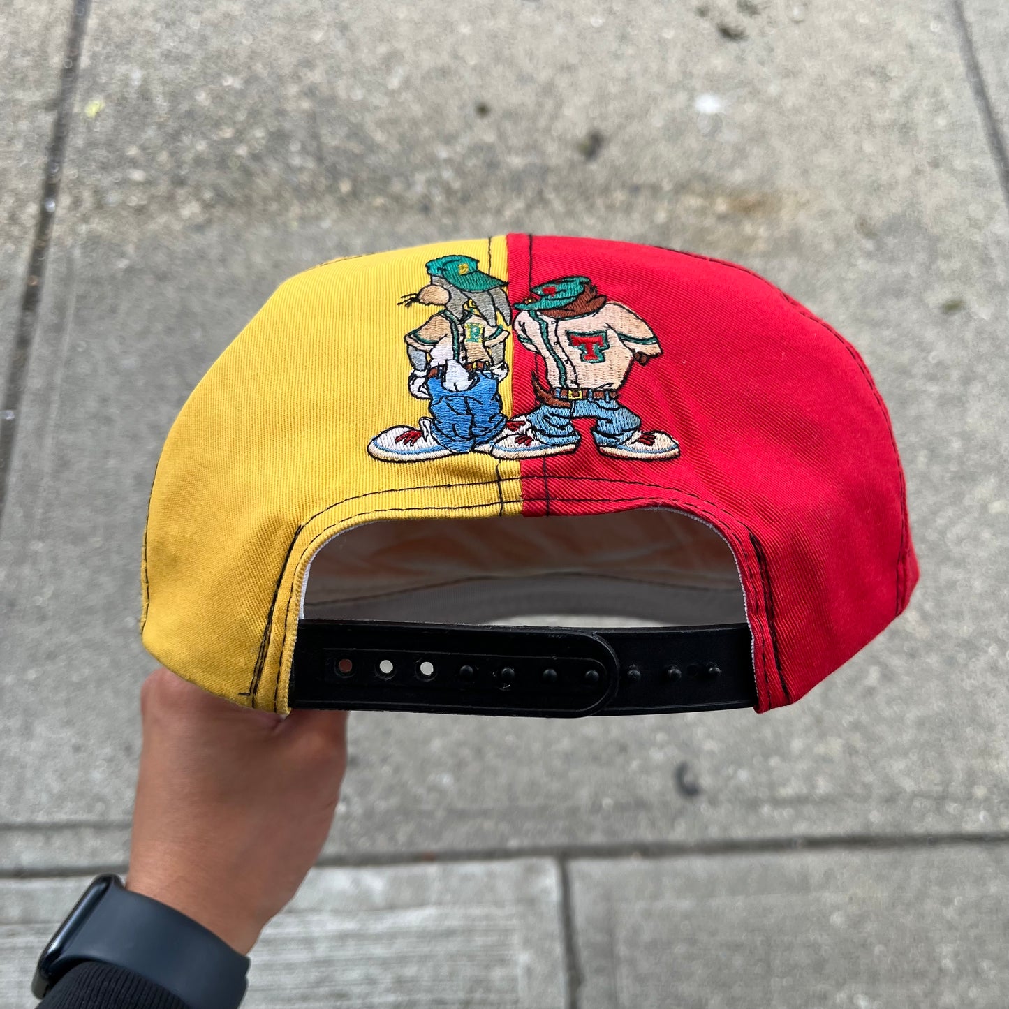1993 Looney Tunes “Toon Boys” Colour Block Snapback