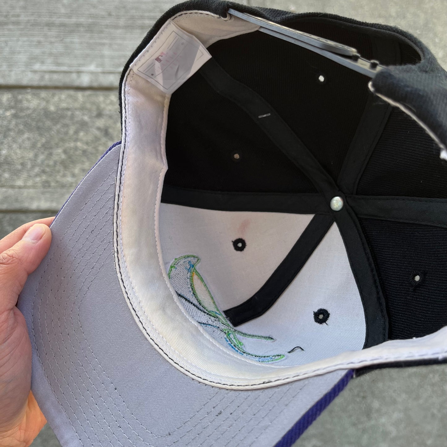 Vintage Tampa Bay Rays Snapback