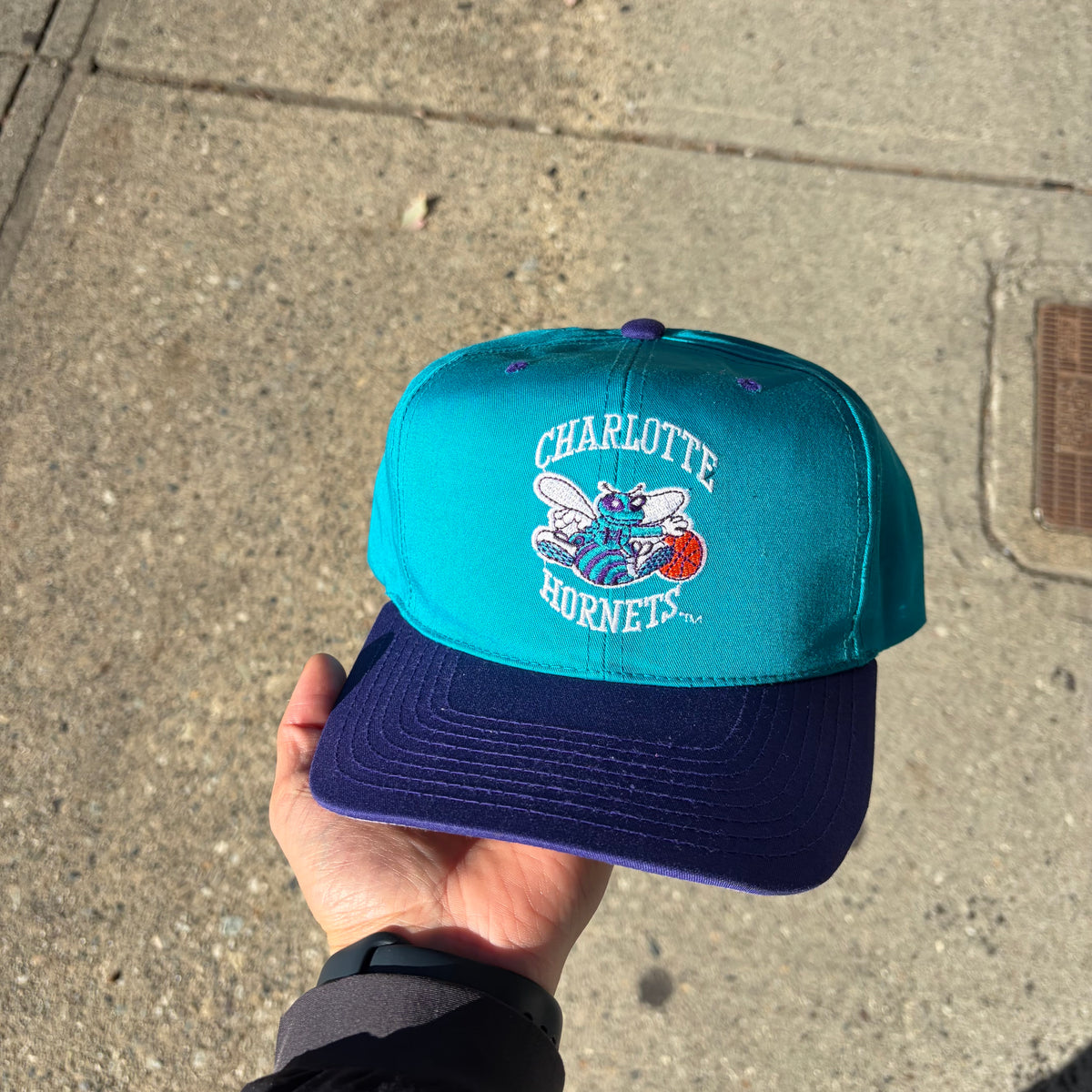 Vintage Charlotte Hornets SnapBack