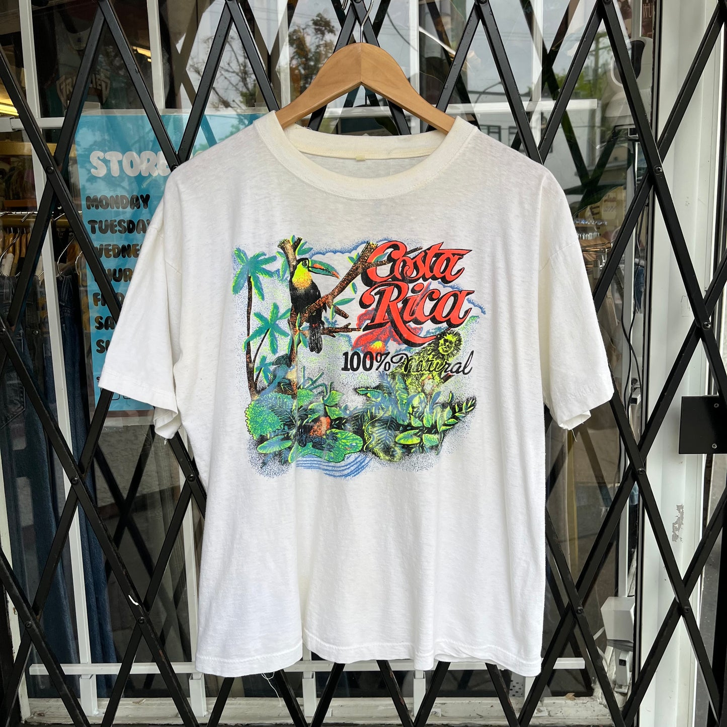 Vintage Costa Rica Souvenir Tee - Size M