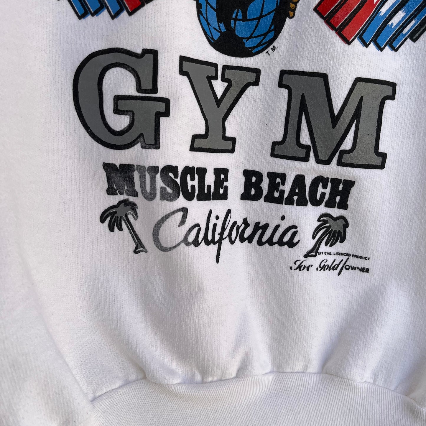 1980’s World Gym Hoodie - Size L
