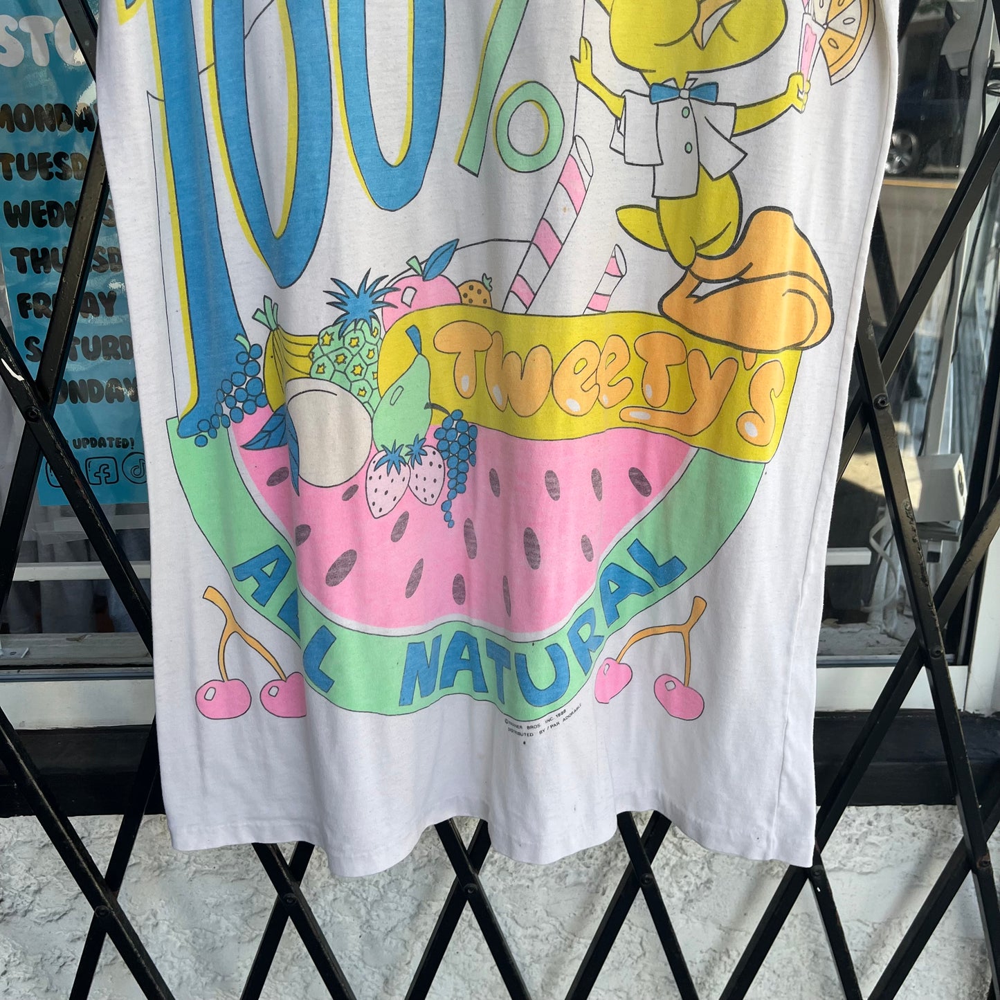 Vintage Looney Tunes Tweety Bird Beach Shirt - One Size