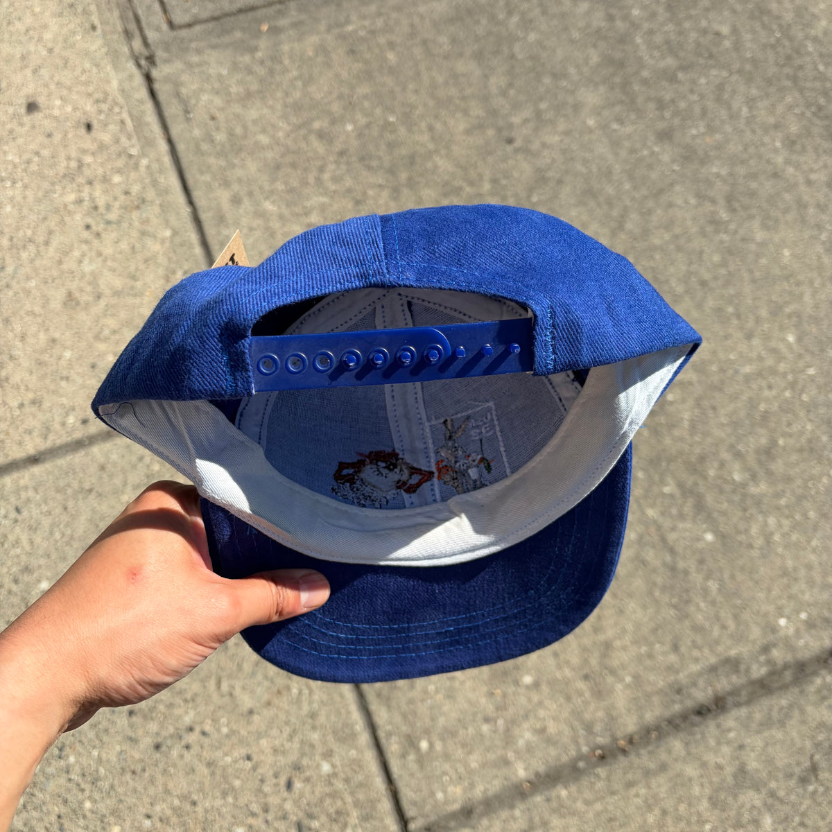 Vintage Looney Tunes SnapBack