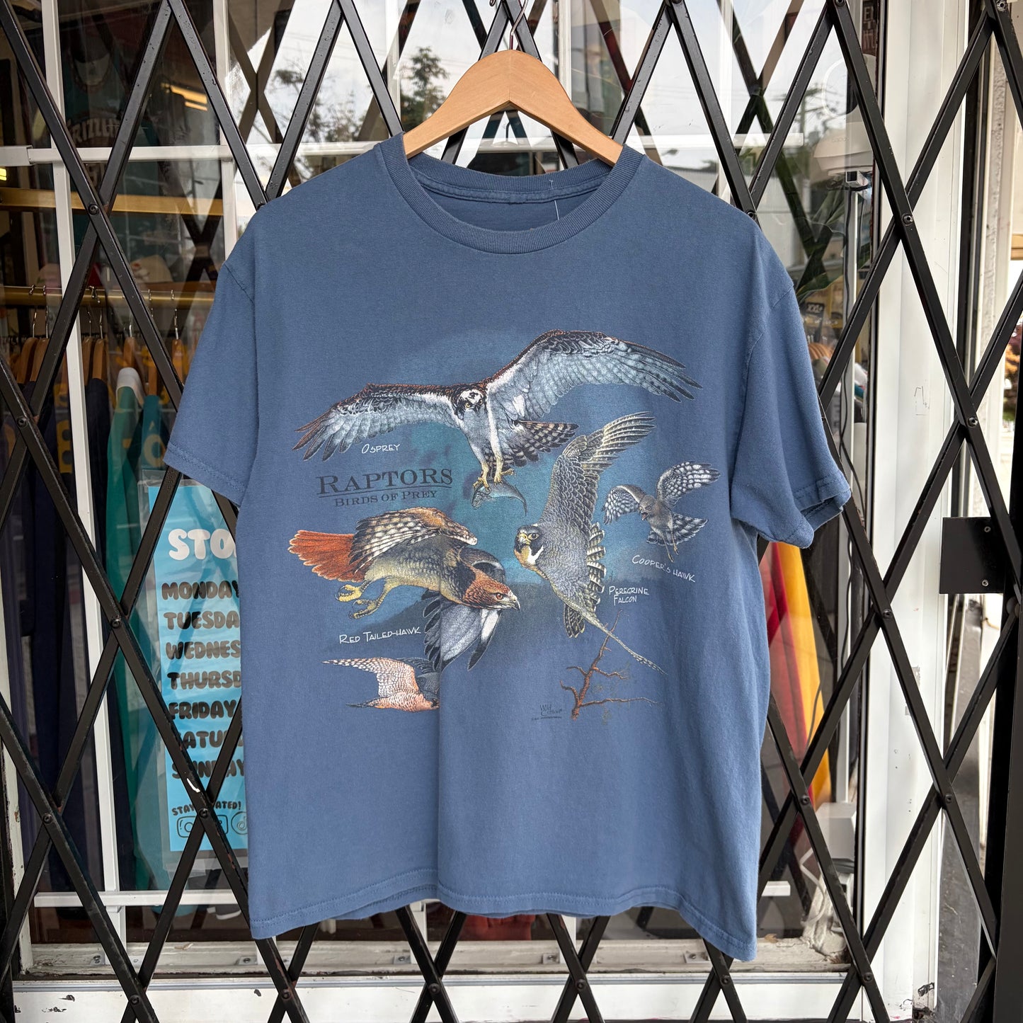 Birds of Prey Tee - Size L
