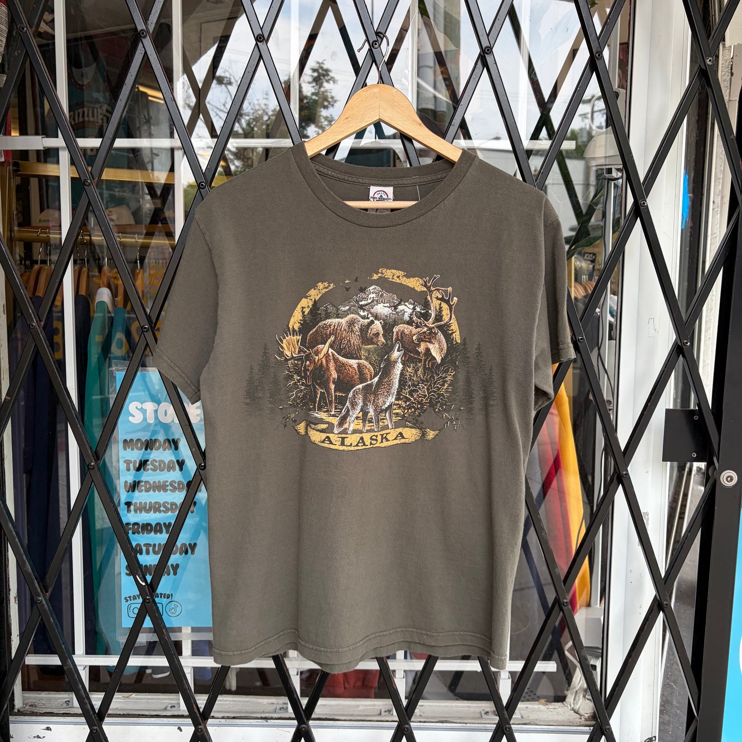 Alaska Nature Tee - Size M