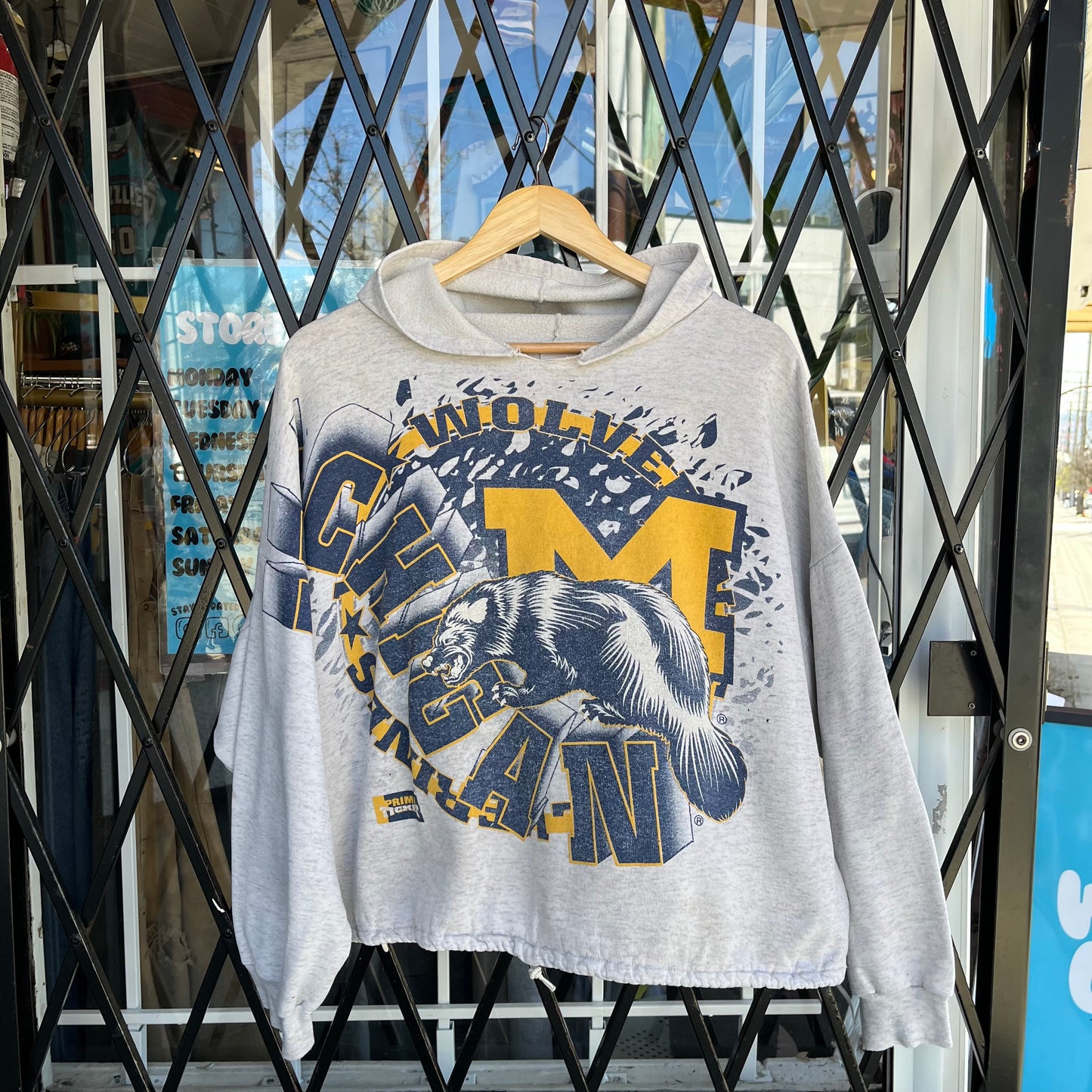Vintage Michigan Wolverines Cropped Fit Hoodie - Fits M