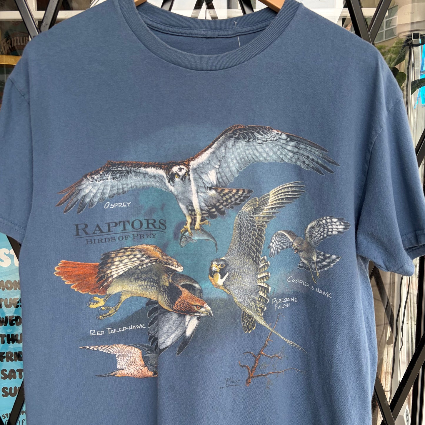 Birds of Prey Tee - Size L