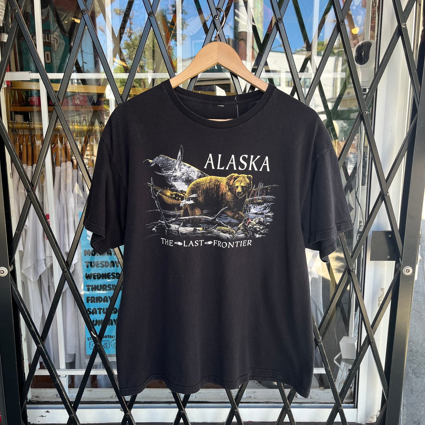 Alaska Nature Tee - Size L
