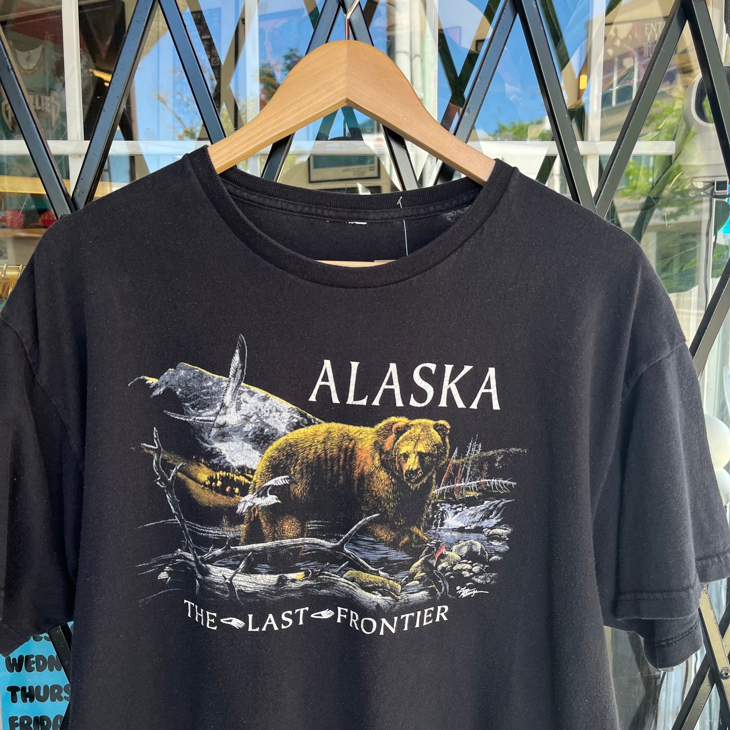 Alaska Nature Tee - Size L