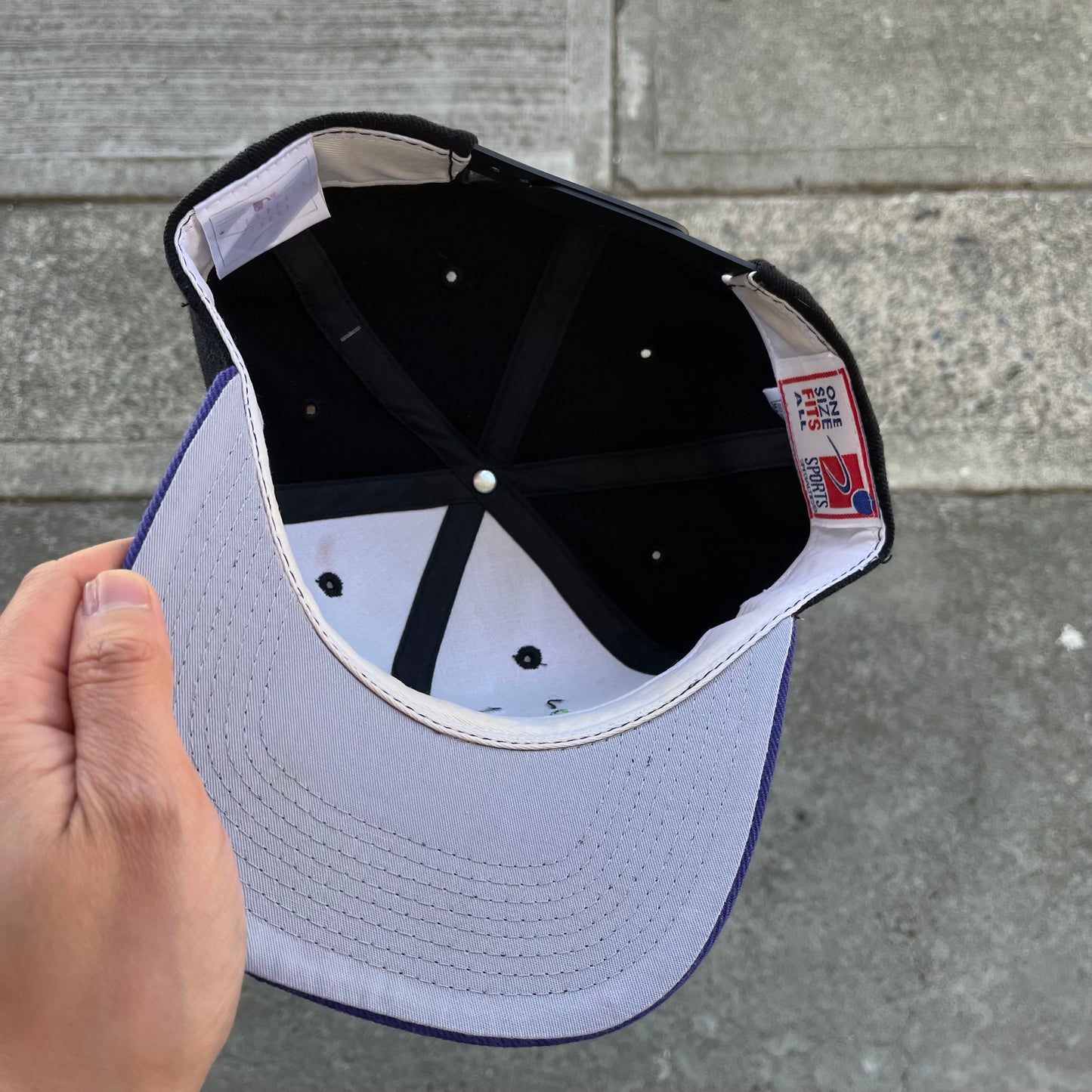 Vintage Tampa Bay Rays Snapback