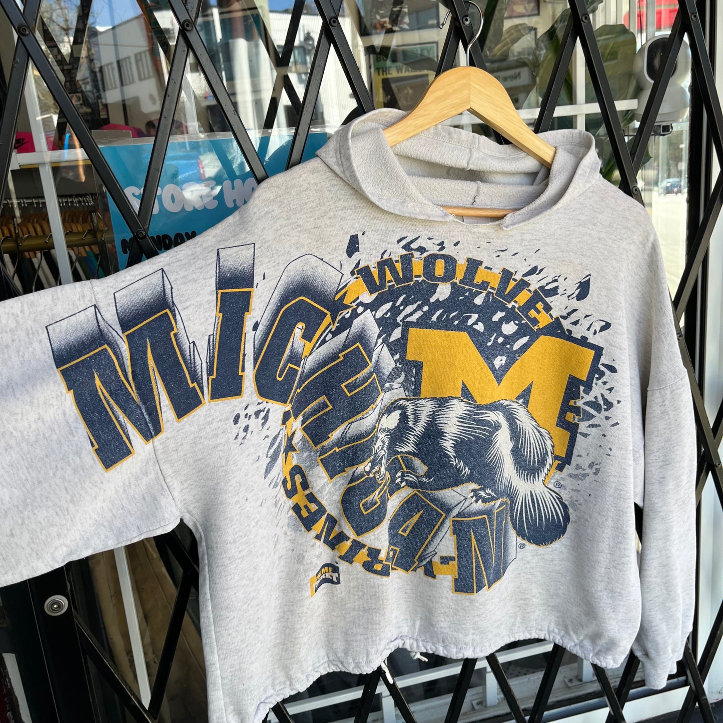 Vintage Michigan Wolverines Cropped Fit Hoodie - Fits M