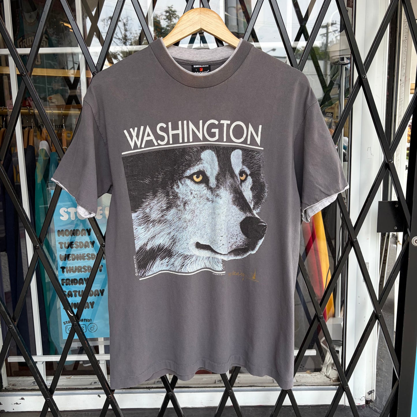 1993 Washington Huskies Tee - Size L
