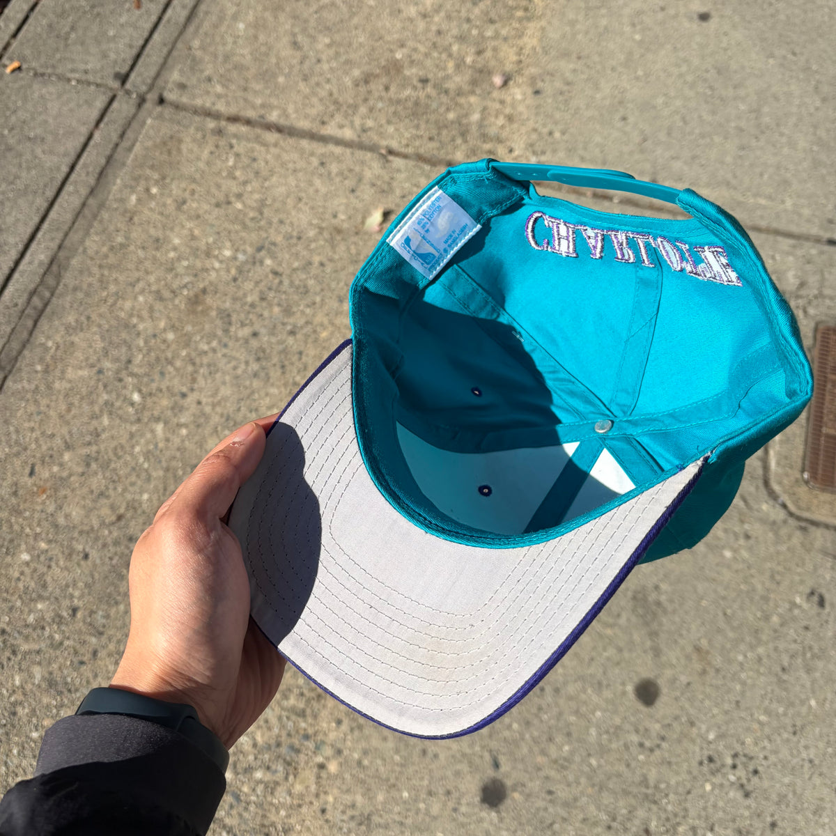 Vintage Charlotte Hornets SnapBack